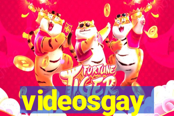 videosgay